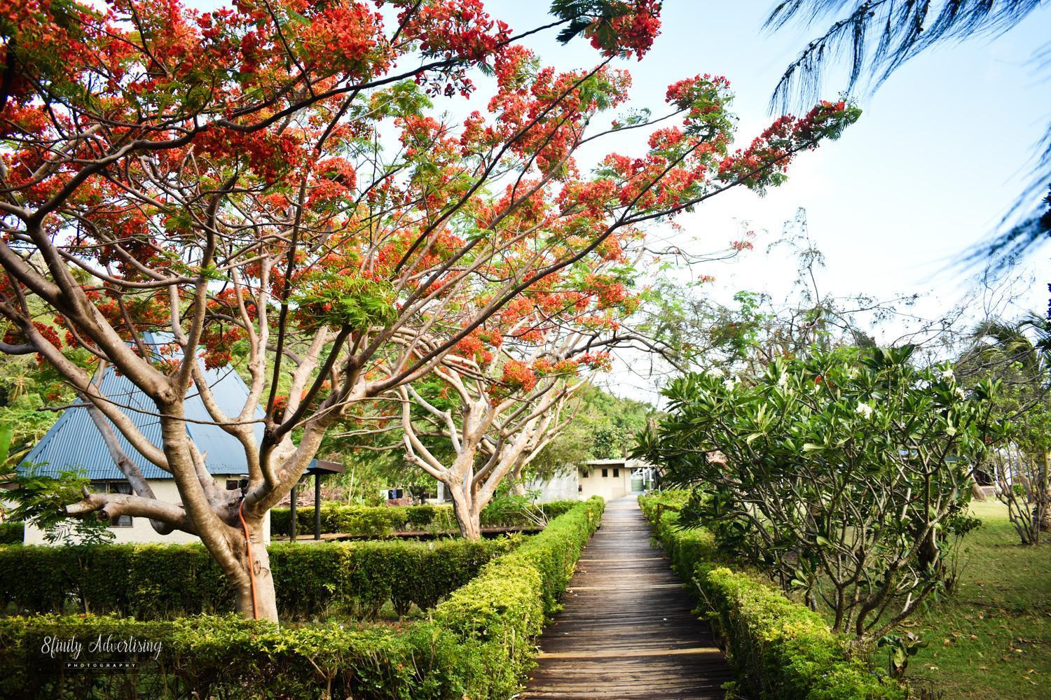 Coralview Island Resort Tavewa Island Exterior foto